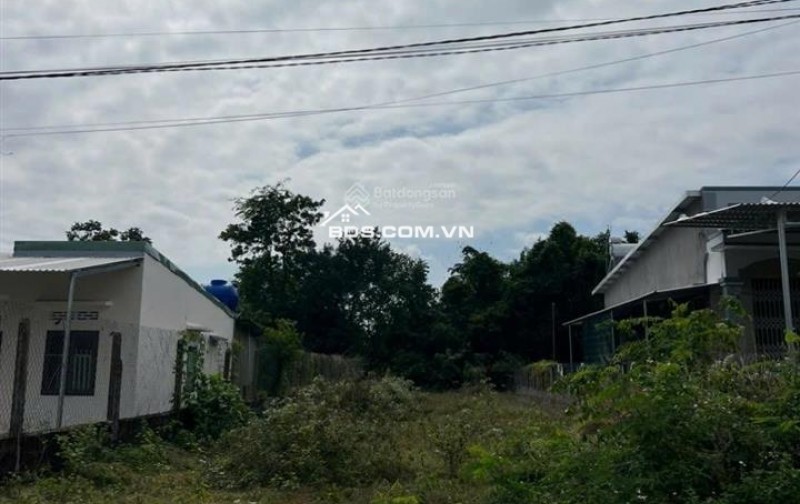 Bán đất đường bê tông 4m thôn Xuân Thọ,Xuân Sơn | 118,6m² đất ở, ngang 4,9m, giá 600 triệu