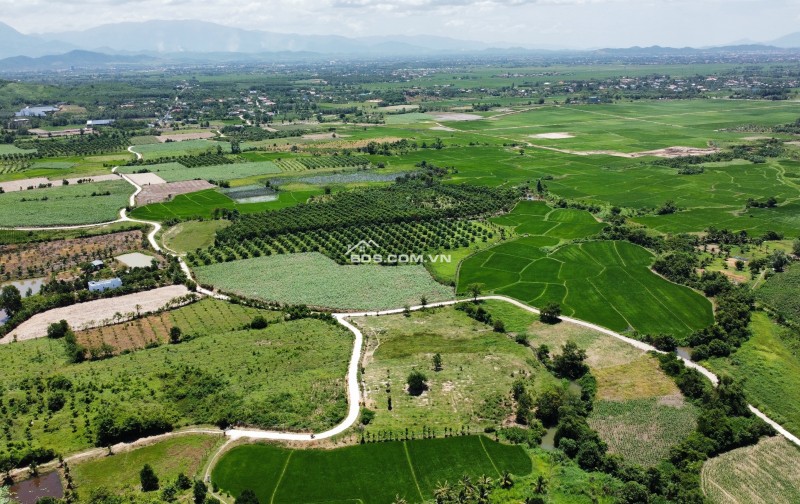 Bán 3 lô đất view suối tại  Ninh Tân-  Nam Ninh Hoà- Khánh Hoà