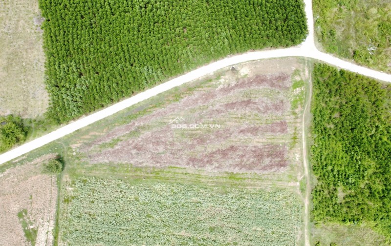 Mở bán 21 lô đất full thổ cư - Ninh Tân (cũ) - Ninh Hoà- Khánh Hoà