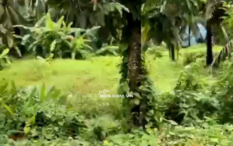 Đất MẶT TIỀN Đường Huyện 87 (đường lò bún). Rộng 180m2. Báo giá Rẻ chỉ 70%.