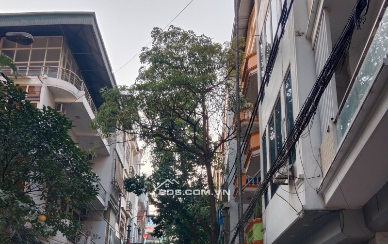 Bán Nhà Kinh Doanh Tam Trinh, Hoàng Mai 97m, 3 tầng, mt 7.5m, giá 33 Tỷ.