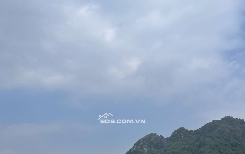 Em còn mấy suất ngoại giao dự án UTOPIA  giá nhỉnh 5 tỷ đã có căn hộ vị trí xịn sò nhất dự án