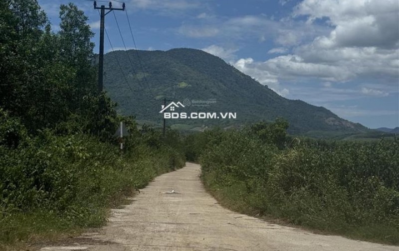 Đất ở giá mềm Xuân Thọ, Xuân Sơn 117,9m², ngang 5m, đường đất 3m, chỉ 470 triệu