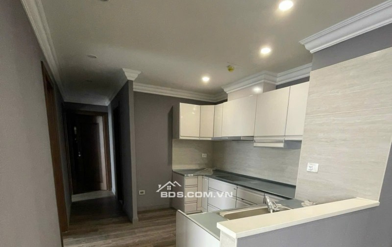 HDI 55 LÊ ĐẠI HÀNH: Cho thuê căn hộ 2 ngủ +1 , đủ nội thất mới.