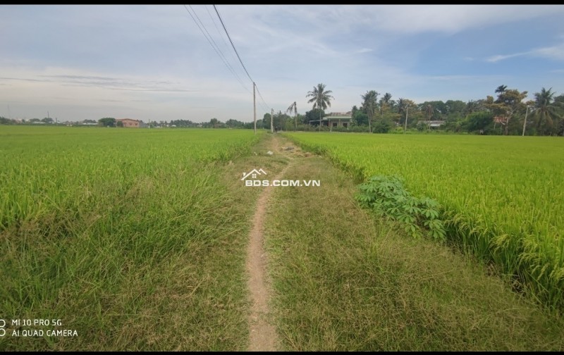 Bán gấp lô đất thổ lúa gần Quốc Lộ 50B hạ giá 6 tỷ