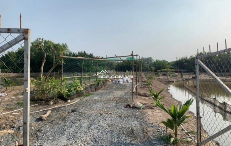 Bán lô đất thổ phân lô mặt tiền đê bao giá 7,5 tỷ