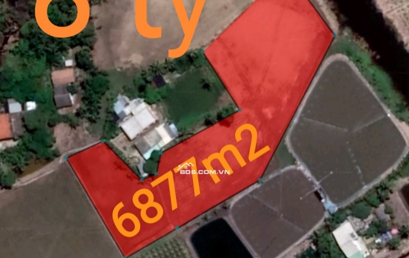 Bán gấp lô đất thổ lúa gần Quốc Lộ 50B hạ giá 6 tỷ