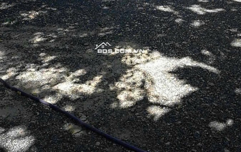 Bán ĐẤT có Công Trình Tôn Giáo Sẵn Sổ hồng công chứng ngay Hỗ Trợ Chuyển Nhượng Đúng Đối Tượng