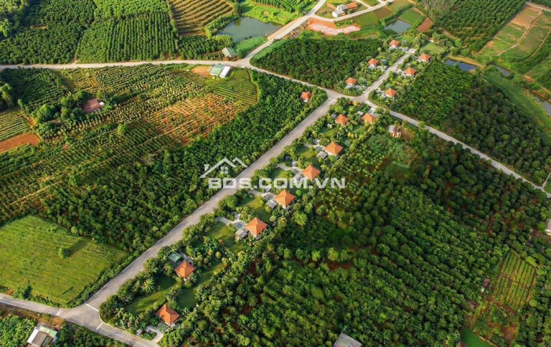Mai Anh Đào Village – Lâm Hà 1.000m² đất, 100m² thổ cư sẵn