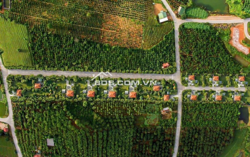 Mai Anh Đào Village – Lâm Hà 1.000m² đất, 100m² thổ cư sẵn