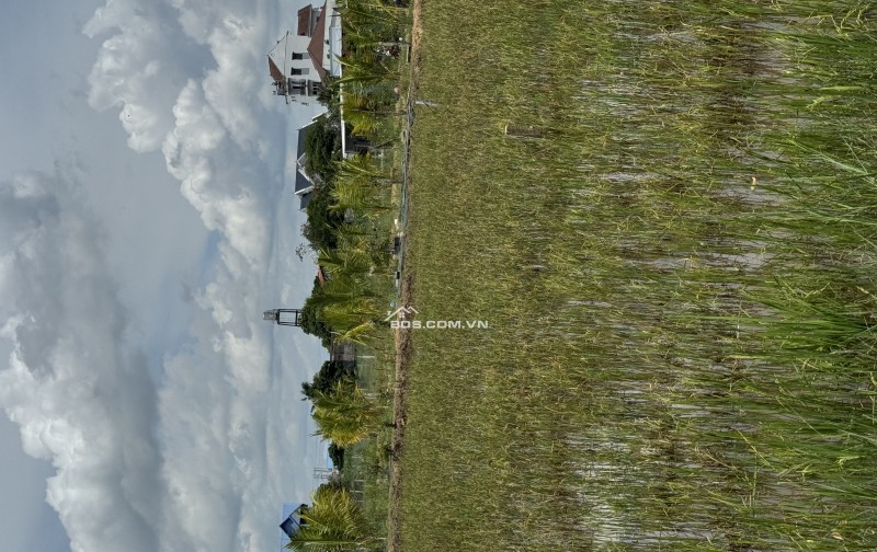 Ngay trung tâm hành chính thương mại Hậu Nghĩa. Sát dự án 197ha