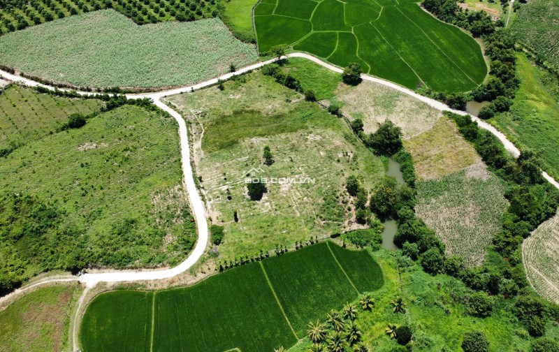 Bán 3 lô đất view suối tại  Ninh Tân-  Nam Ninh Hoà- Khánh Hoà