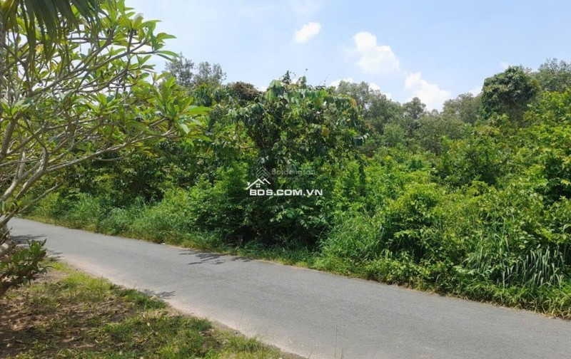 Đất Tăng Thị Hội xã An Nhơn Tây huyện Củ Chi, tiềm năng tăng giá mạnh