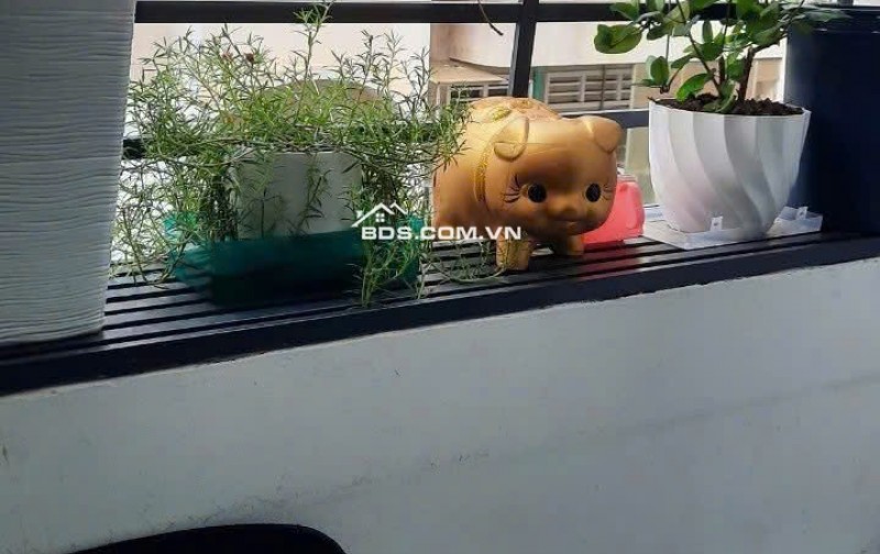 CHung cư Nguyễn Tri Phương, P8, Q5, 70m2, 2PN, 1WC, Lầu 4, Thang bộ, 9tr/th.