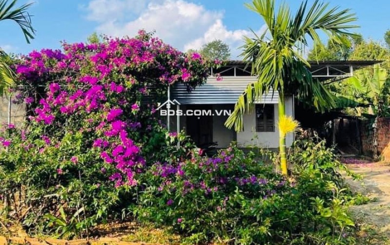 Bán Đất Nhà Vườn Có Sẵn Nhà nhỏ, rộng 2540m2, Giá tổng 600 triệu, Gần Ủy Ban Xã Tân Hệp