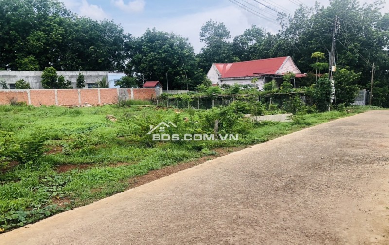 ĐẤT THỔ CƯ 5X40=200M2 THỔ CƯ SHR, ĐƯỜNG 18M, ĐỐI DIỆN CHỢ GIÁ 290TR