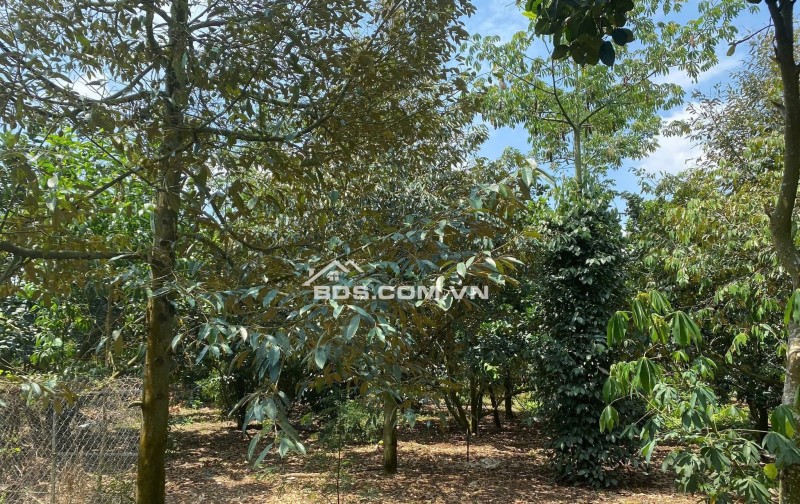 Bán Đất Nhà Vườn Có Sẵn Nhà nhỏ, rộng 2540m2, Giá tổng 600 triệu, Gần Ủy Ban Xã Tân Hệp