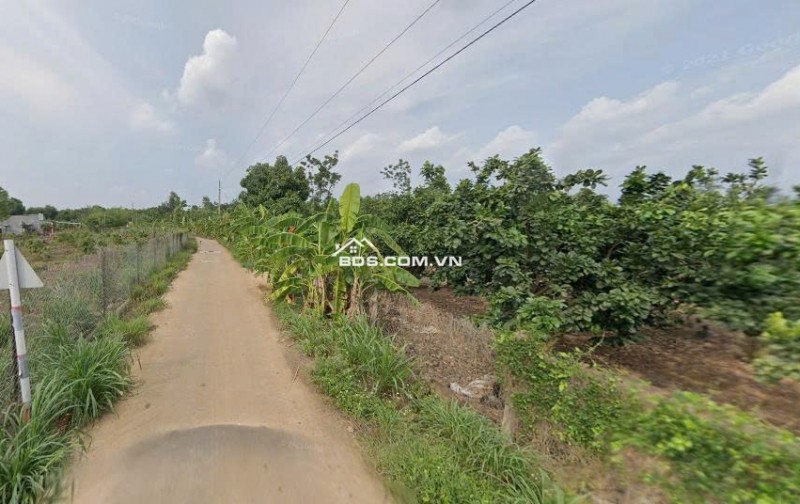 bán đất trồng cây lâu năm gần chợ Tân Thành, Xã Tân Thành, Bù Đốp, Bình Phước