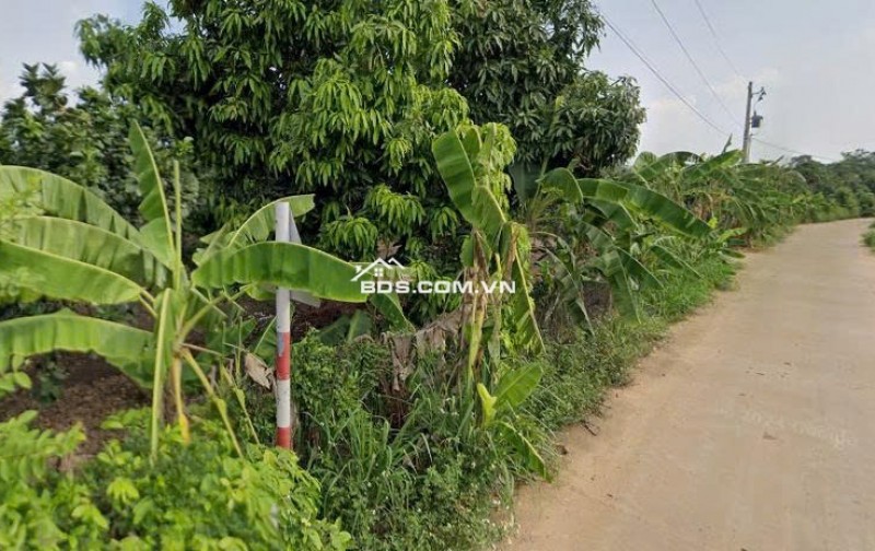 bán đất trồng cây lâu năm gần chợ Tân Thành, Xã Tân Thành, Bù Đốp, Bình Phước