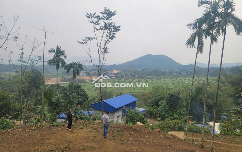 \"MỎ VÀNG\" KIM BÔI – ĐÓN ĐẦU SIÊU DỰ ÁN SUN GROUP – CHỈ 1 LÔ DUY NHẤT!