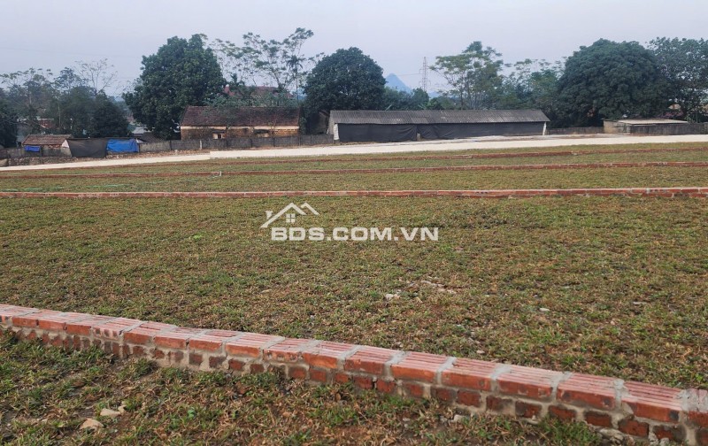 ĐÓN SÓNG VÀNH ĐAI 5 – QUỸ ĐẤT 