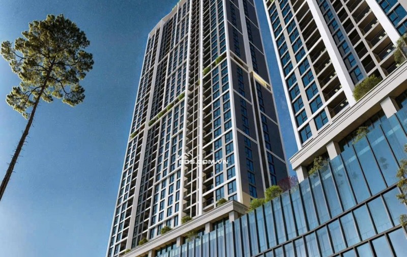 Chỉ từ 800tr sở hữu ngay căn hộ chung cư cao cấp ngay cạnh Vinhomes Smart City, sổ hồng lâu dài