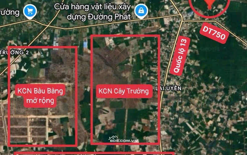 CHỈ VỚI 250TR SỞ HỮU ĐẤT THỔ CƯ NGAY HÔM NAY - TĂNG VƯỜN BƯỞI ĐANG THU HOẠCH