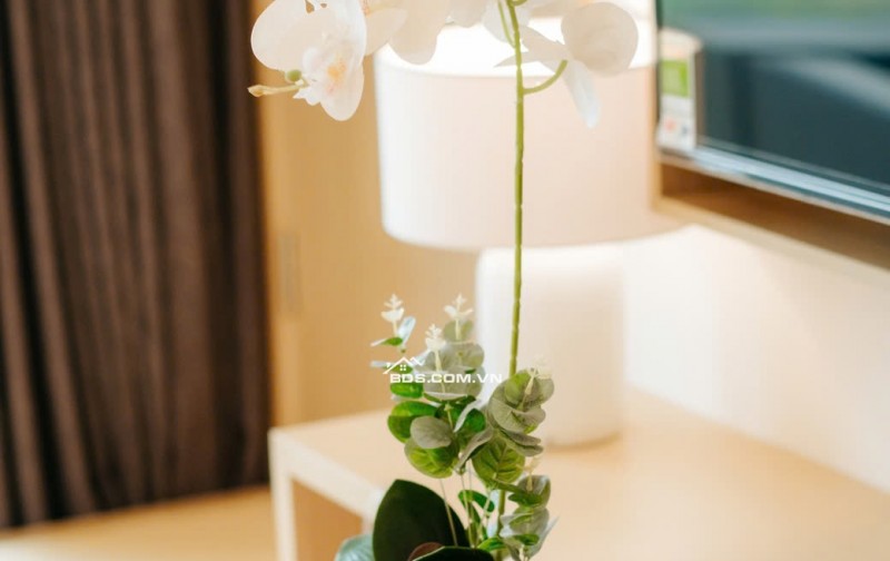 Chính chủ cần chuyển nhượng condotel K1515 – Wyndham Thanh Thủy, mức giá 2,2 tỷ (thương lượng).