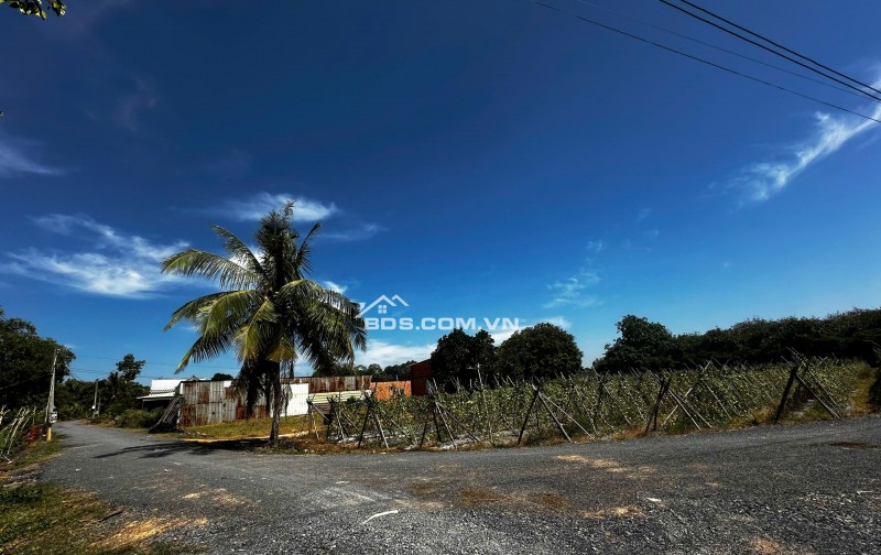 ẤT TÂY NINH – GIÁ CHỈ 360 TRIỆU – 150 M2 – FULL THỔ CƯ – SỔ SẴN