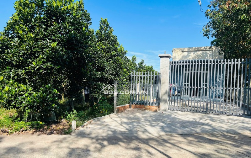 Bán Vườn Mít Thái, 680m2 thổ cư 300m2, Gần Chợ, Gần Ủy Ban, Đông dân cư