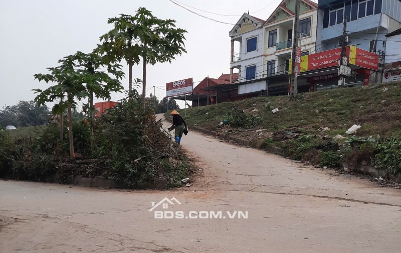 BÁN LÔ ĐẤT HOÀNG KIM – MÊ LINH – VỊ TRÍ VÀNG