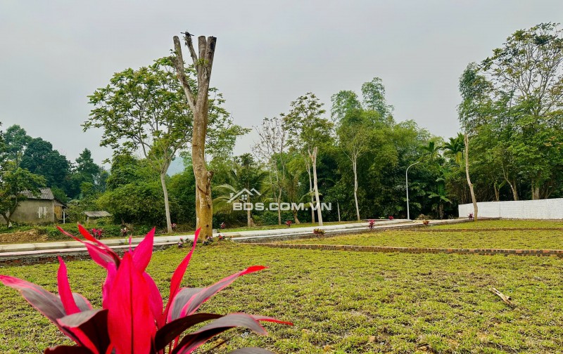 QUỸ ĐẤT HIẾM QUANH SERENA RESORT – GIÁ CHỈ HƠN 300 TRIỆU TẠI KIM BÔI, HOÀ BÌNH