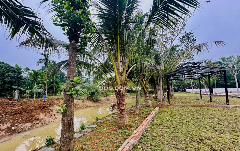 QUỸ ĐẤT HIẾM QUANH SERENA RESORT – GIÁ CHỈ HƠN 300 TRIỆU TẠI KIM BÔI, HOÀ BÌNH