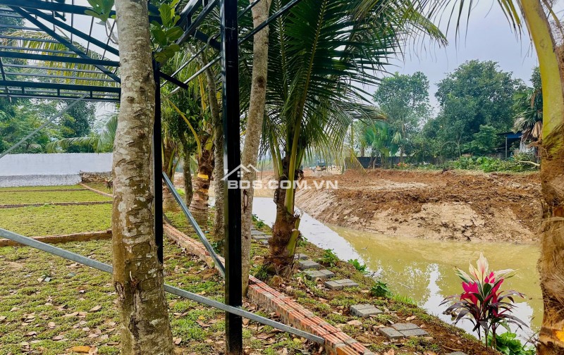 QUỸ ĐẤT HIẾM QUANH SERENA RESORT – GIÁ CHỈ HƠN 300 TRIỆU TẠI KIM BÔI, HOÀ BÌNH