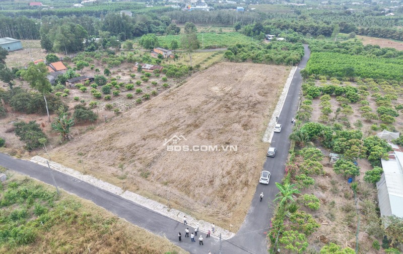 CƠ HỘI CUỐI CÙNG] – G20 XUYÊN MỘC HỒ TRÀM: ĐẤT NỀN GIÁ 