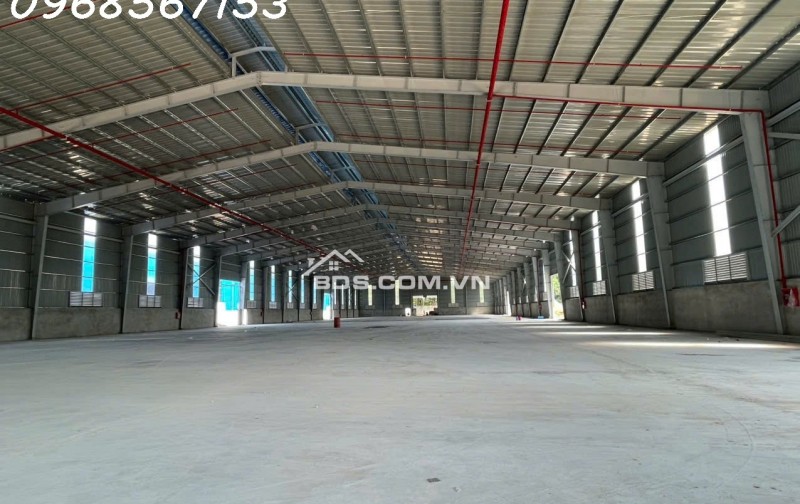 Cho thuê cụm kho xưởng 11.000m² mới xây – Bàu Bàng / Bến Cát – điện 1.000KVA