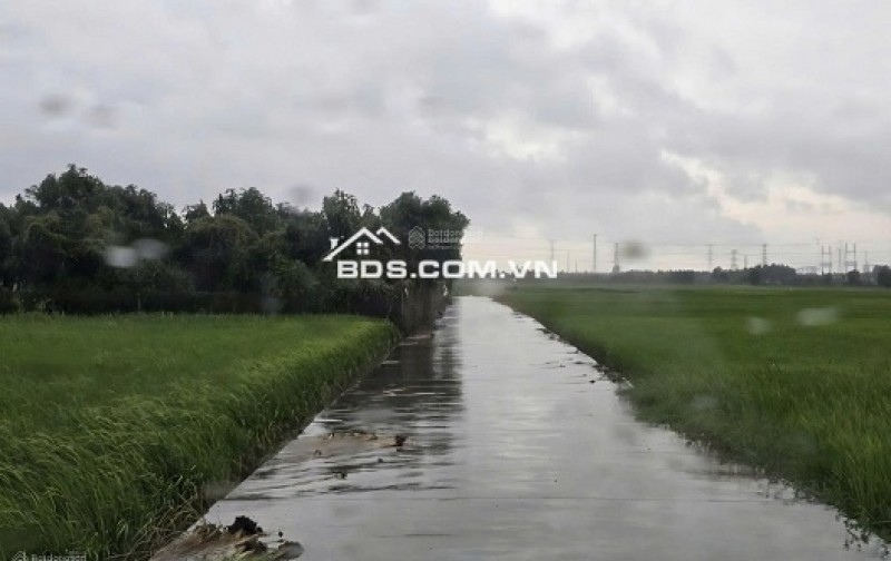 6 lô vila Vĩnh Thanh Hàng F0 vừa phân lô (Từ 400m2 có thổ cư) Giá từ 8tr/m2 - Giảm ngay 3 tỷ mua sỉ