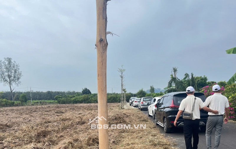 CƠ HỘI VÀNG BỎ LỠ LÀ TIẾC NUỐI CẢ ĐỜI! Đất gần biển Hồ Tràm, TP HCM mới