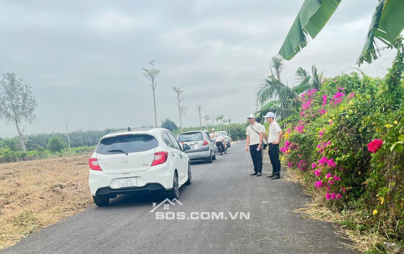 CƠ HỘI VÀNG SỞ HỮU ĐẤT THỔ CƯ HỒ TRÀM CHỈ 4.2 TRIỆU/M²!