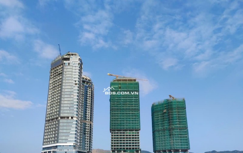 Sở hữu căn hộ View 360 độ Vịnh Bái Tử Long giá chỉ từ 2 Tỷ - Crystal Holidays Harbour Vân Đồn