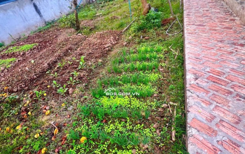 Bán Đất Thường Tín -Hà Nội- 1381m2 full thổ cư -Pháp lý sạch – Mt 26m2 giá nhỉnh 10 tỷ