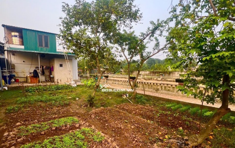 Bán Đất Thường Tín -Hà Nội- 1381m2 full thổ cư -Pháp lý sạch – Mt 26m2 giá nhỉnh 10 tỷ