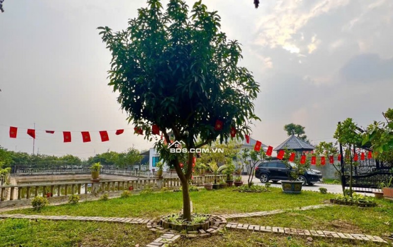 Bán Đất Thường Tín -Hà Nội- 1381m2 full thổ cư -Pháp lý sạch – Mt 26m2 giá nhỉnh 10 tỷ