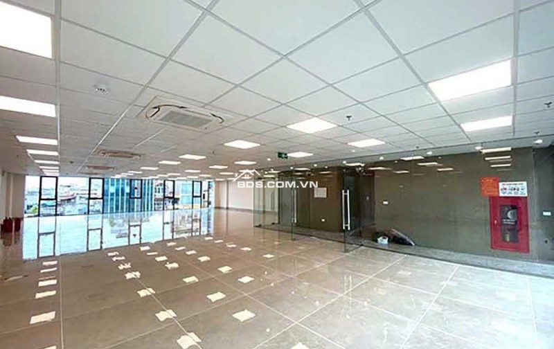 Bán Tòa Văn Phòng 9 Tầng Mặt Phố Vương Thừa Vũ, Vị Trí Đắc Địa. DT 189m2, Mt 12.04m nở hậu. Giá 140 TỶ