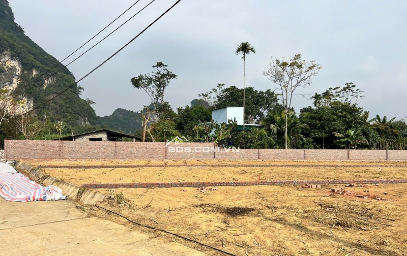  ĐÓN SÓNG ĐƯỜNG LIÊN KẾT VÙNG - TÂM ĐIỂM KHU NGHỈ DƯỠNG   SỞ HỮU ĐẤT KIM BÔI CHỈ TỪ 400TR 