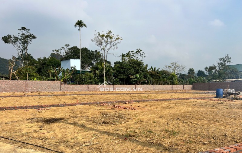  ĐÓN SÓNG ĐƯỜNG LIÊN KẾT VÙNG - TÂM ĐIỂM KHU NGHỈ DƯỠNG   SỞ HỮU ĐẤT KIM BÔI CHỈ TỪ 400TR 