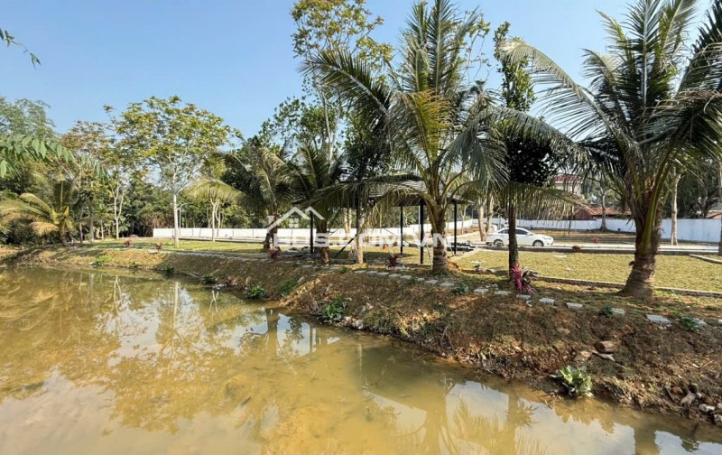 Hơn 300Tr: Sở hữu diện mạo mới cực chất - Đón đầu 