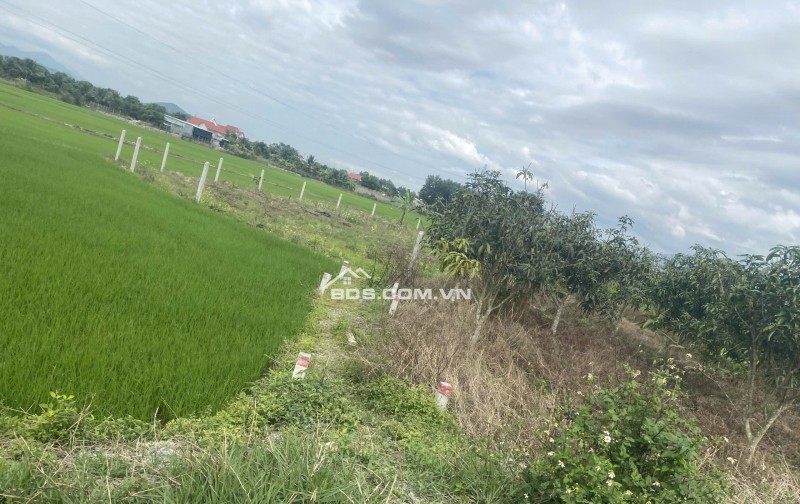 BÁN ĐẤT VƯỜN SUỐI TIÊN, DIÊN KHÁNH, 530M2, GIÁ DƯỚI 500 TRIỆU, GIÁ RẺ