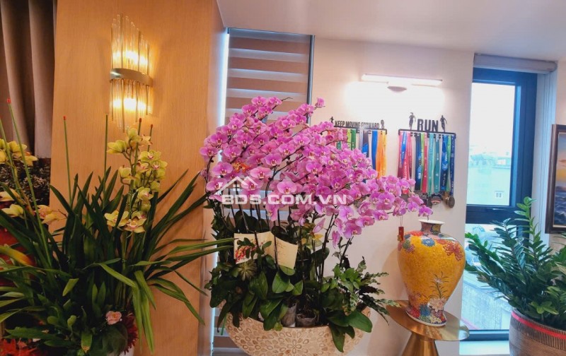 BÁN TOÀ NHÀ THƯƠNG MẠI -TRƯỜNG CHINH- 110 M2- 9 TẦNG THANG MÁY- KINH DOANH VĂN PHÒNG – NHÀ Ở -36 TỶ