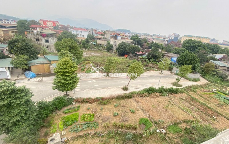 Bán gấp lô 86m2 sẵn sổ đỏ 2 mặt tiền giá đầu tư, đất đô thị trung tâm TT Lương Sơn (BP sang sổ)